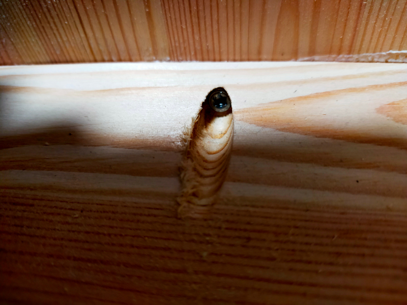 pocket hole joinery for beginners